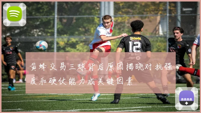 黄蜂交易三球背后原因揭晓对抗强度和硬仗能力成关键因素