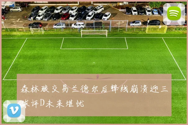 森林狼交易兰德尔后锋线崩溃迎三球评D未来堪忧