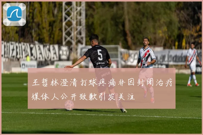 王哲林澄清打球疼痛非因封闭治疗媒体人公开致歉引发关注